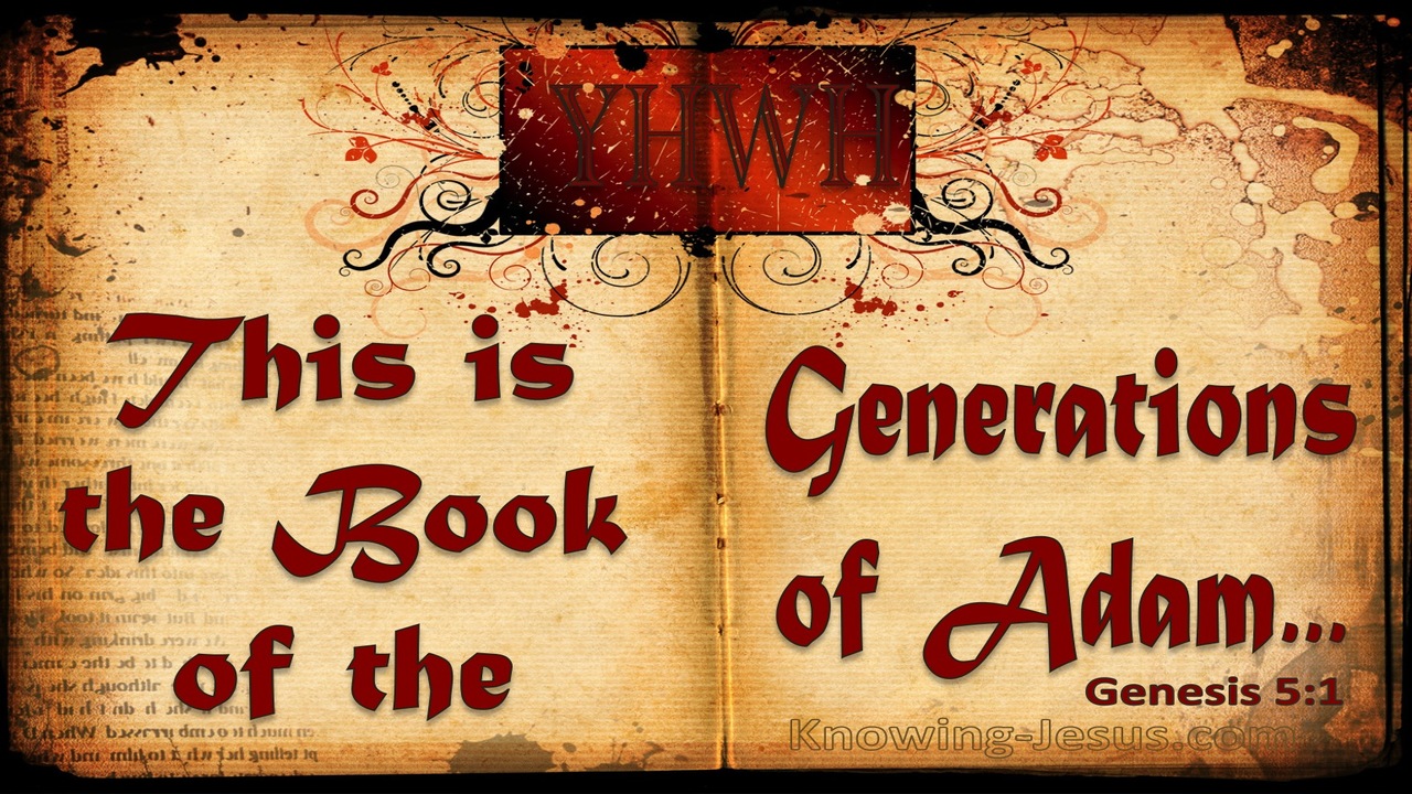 Genesis 5:1 The Generations Of Adam (red)